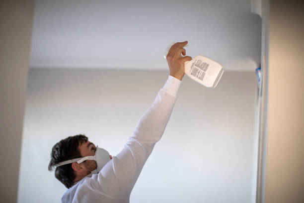 Best Mold Testing and Inspection Services in Westfield, IN