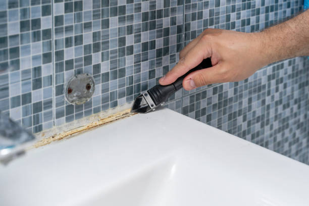 Best Industrial Mold Remediation in Westfield, IN